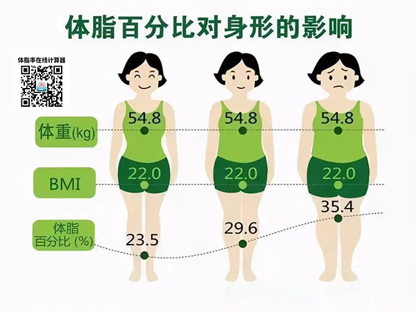 BMI指数和体脂率对体型影响对照图